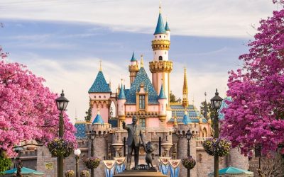 ✨🍎Poison Apple Travel’s 25 Days of Disney Deals…Disneyland Dream Come True🍎✨