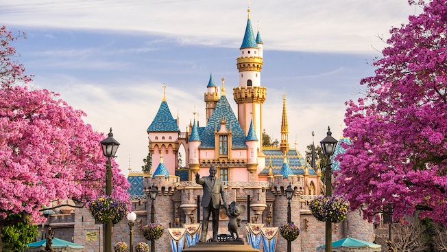 ✨🍎Poison Apple Travel’s 25 Days of Disney Deals…Disneyland Dream Come True🍎✨